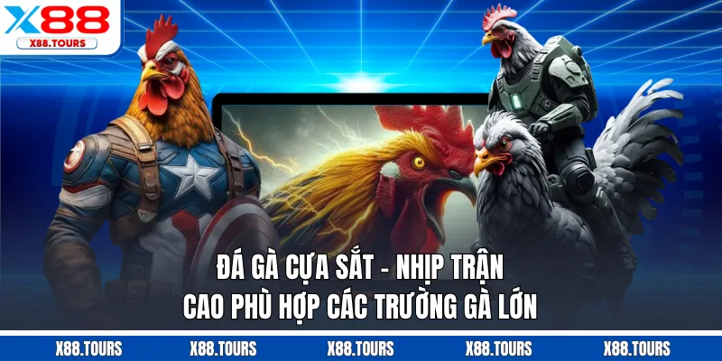 Đá Gà Cựa Sắt - Nhịp Trận Cao Phù Hợp Các Trường Gà Lớn
