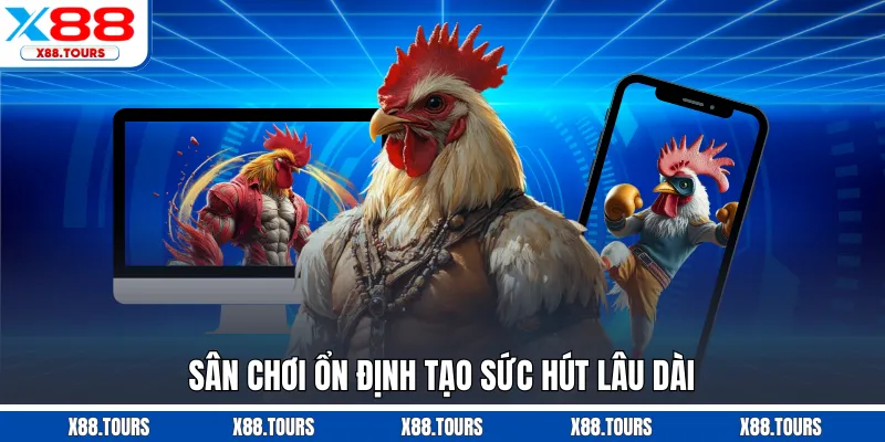 Sân chơi ổn định tạo sức hút lâu dài