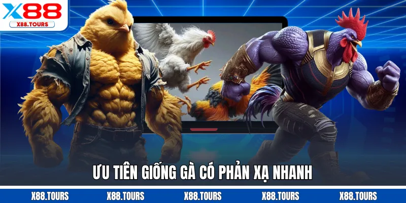 Ưu tiên giống gà có phản xạ nhanh